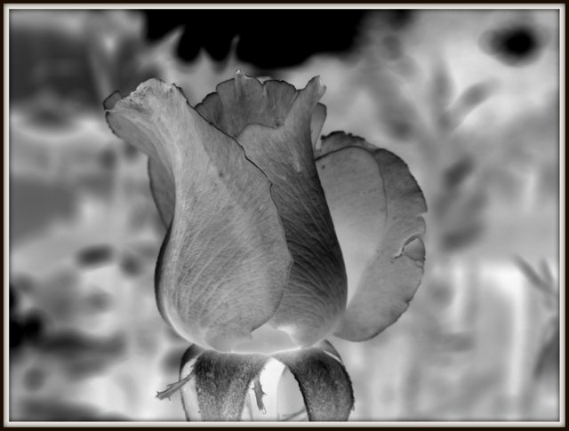 P1011586